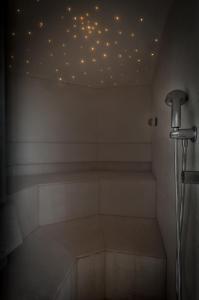 ミラノにあるクラウン プラザ ミラン シティのシャワー付きの天井照明が備わる客室です。
