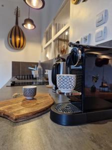 Dapur atau dapur kecil di Albin le musicien +6 gambar