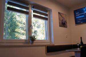 une fenêtre dans une pièce avec une plante sur un rebord de fenêtre dans l'établissement Studio Pika, à Kranjska Gora