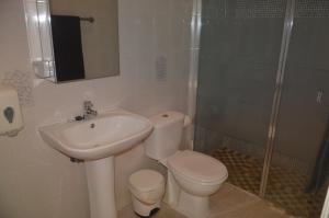 y baño con aseo, lavabo y ducha. en Apartamentos Playa Azul, en Vallehermoso