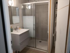 a bathroom with a shower and a sink and a mirror at petit logement Crecy la chapelle in Crécy-la-Chapelle