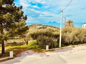 um poste de telefone ao lado de uma estrada com árvores e o oceano em franci e aurora house em Capo dʼOrlando