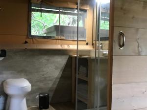 een badkamer met een toilet, een wastafel en een raam bij de Swaenhoeve in Zoersel