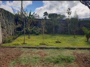 a garden with two trees in front of a wall at 2 br own compound furnished hse in Nairagie Ngare