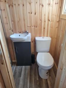 a bathroom with a toilet and a sink at Blair snug hut in Kelty