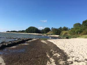 a beach with a rocky shoreline and the water at IJsselmeer appartement in Andijk