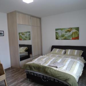 1 dormitorio con 1 cama grande y espejo en Small House in Green area en Budapest