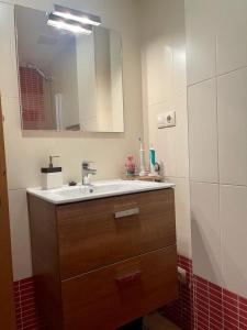 a bathroom with a sink and a mirror at APARTAMENTO FELECHOSA in Felechosa