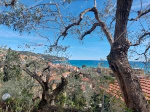 a view of the ocean from a tree at Camera con vista in San Lorenzo al Mare