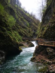 eine Holzbrücke über einen Fluss in einem Canyon in der Unterkunft Kiara 7 in Jesenice