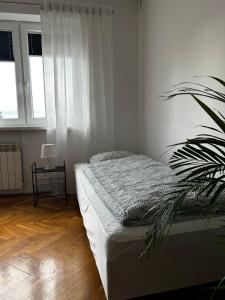 - une chambre avec un lit et une plante en pot dans l'établissement Hostel Centrum NT, à Nowy Tomyśl
