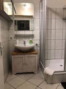 y baño con lavabo y ducha. en Room in Apartment - Schlafen Wie Prinzessinnen In Kemptens Schlosschen, en Kempten