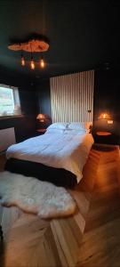 um quarto com uma cama grande com um tapete e luzes em The Cornish Getaway em Newquay