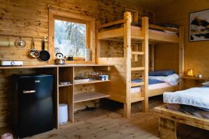 eine Hütte mit einem Etagenbett und einem Waschbecken in einem Zimmer in der Unterkunft Tiny House nad Českým rájem in Všelibice