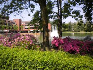A garden outside I Cigni