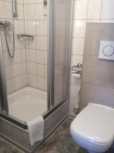 a bathroom with a shower and a toilet at Zur Eiche - Pension in Böhlen