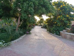 un chemin en pierre dans un jardin planté d'arbres et de fleurs dans l'établissement Silver Beach Boutique Hotel, à Al-Qusair