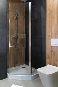 a shower with a glass door in a bathroom at Lynks Resort in Ustrzyki Dolne