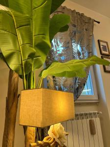 Fotografie z fotogalerie ubytování Casa Anita v destinaci Mentana