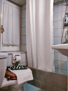 La salle de bains est pourvue d'une douche, de toilettes et d'un lavabo. dans l'établissement Chrysalenia House Corfu Town, à Corfou