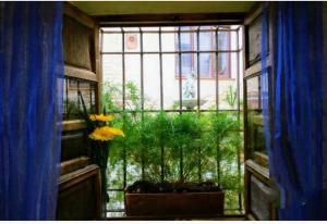 Zahrada ubytování Habitación en casa con encanto, Úbeda