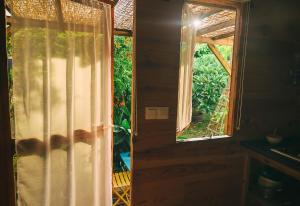 a door to a window with a view of a garden at Le Myranoa, bungalow/tonneau in Saint-Pierre