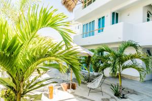 un patio con palmeras y un edificio blanco en El Sho - Hotel boutique, en Bucerías