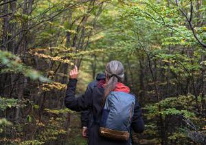 a woman walking down a trail in the woods at Explora en Parque Nacional Patagonia in Cochrane +46 photos