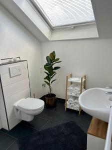La salle de bains est pourvue de toilettes, d'un lavabo et d'une plante. dans l'établissement Mühlbachs 2, à Kaufbeuren
