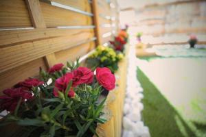 A garden outside Cozy Apartment in the heart of Athens!
