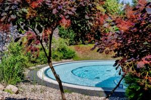 a swimming pool in a garden with a tree at Precise Resort Marina Wolfsbruch in Kleinzerlang