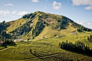 uma montanha verde com casas ao lado dela em Berghotel Altes Wallberghaus em Rottach-Egern