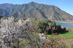 a view of a mountain with a lake and trees at RIAD IDAR ouirgane in Ouirgane