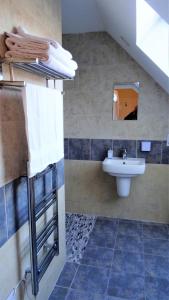 La salle de bains est pourvue d'un lavabo et de toilettes. dans l'établissement Bracadale House, à Port na Long