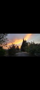 a view of a road with a sunset in the background at Trulli Belvedere in Putignano