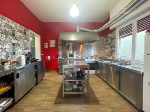 a large kitchen with red walls and stainless steel appliances at The Holy Rock - Hostel at meteora in Kalabaka