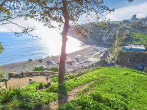 uma vista para uma praia a partir de uma colina com uma árvore em Haslemere - Beer Devon em Beer