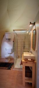 a bathroom with a shower and a sink and a toilet at Nomad Glamping in Šipovo