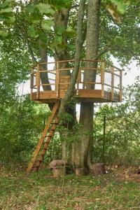 a wooden tree house in a tree at Hollyhock Lodge in Buckinghamshire
