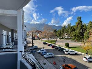 樂托卡亞的住宿－Hotel Evagelia，停车场内可停放汽车的阳台
