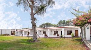 un edificio con un árbol y una rueda en el patio en Bodega el Huarango, en Ica