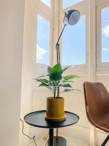uma lâmpada e uma mesa com uma planta sobre ela em Designer Furnished - Entire Apartment Sliema 1B by Solea em Sliema
