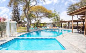 a swimming pool with blue water in a yard at Bodega el Huarango in Ica +55 photos
