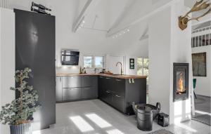 a kitchen with gray cabinets and a fireplace at Amazing Home In Pandrup in Pandrup