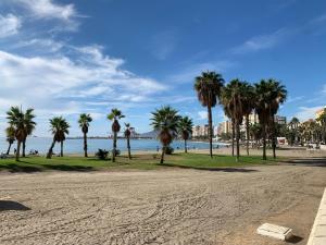 einen Strand mit Palmen und dem Meer in der Unterkunft Ático Mármoles - Centro Málaga in Málaga