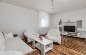 a living room with a couch and chairs and a tv at Cozy Home In Debelo Brdo I With Wifi in Debelo Brdo