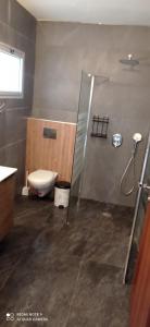 ein Bad mit einer Dusche und einem WC. in der Unterkunft צימר מתאים לדתיים בלבד in Jabneel