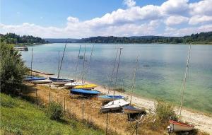 un grupo de barcos sentados en la orilla de un lago en Nice Home In Les Premiers-sapins With Ethernet Internet, en Athose