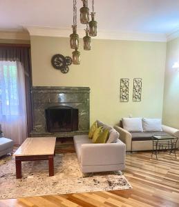 a living room with a couch and a fireplace at Beauty in the Heart of the City in Tbilisi City