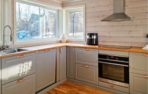 cocina con armarios grises, fregadero y fogones en Pet Friendly Home In Lyngdal With Kitchen, en Lyngdal